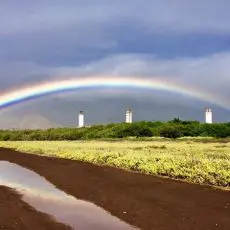 IMG_4359_450 Rent a Car Maui