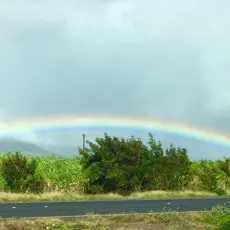 IMG_4360_450 Rent a Car Maui