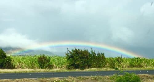 Rent a Car Maui