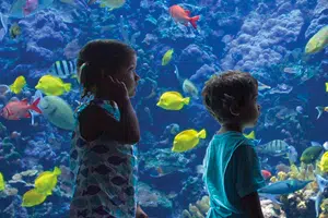 Maui Ocean Center Maui Ocean Center