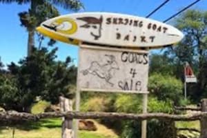 02 Rent a Car Maui