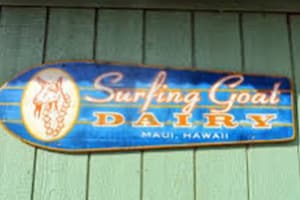 08 Rent a Car Maui