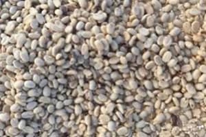 Shim Coffee Farm Shim Coffee Farm