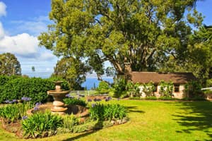 Maui Wine Maui Wine