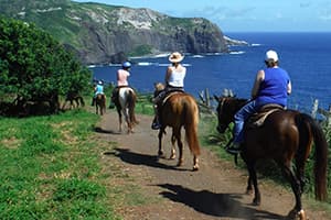 Mendes Ranch & Trail Rides