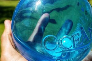 006 Ocean Vodka