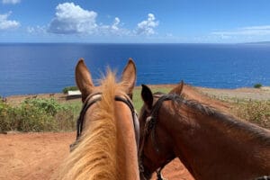 Mendes Ranch & Trail Rides