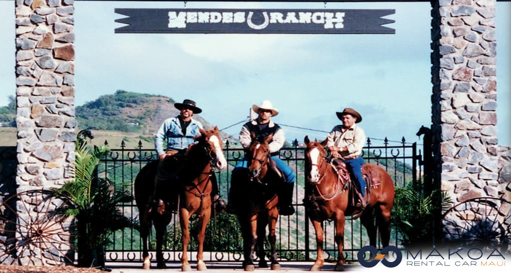 Mendes Ranch & Trail Rides