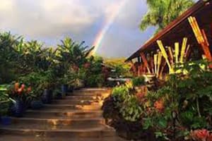 Hana farms Hana farms