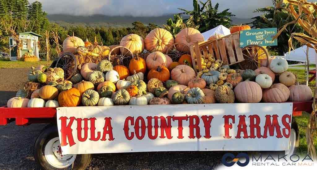 Kula county farms