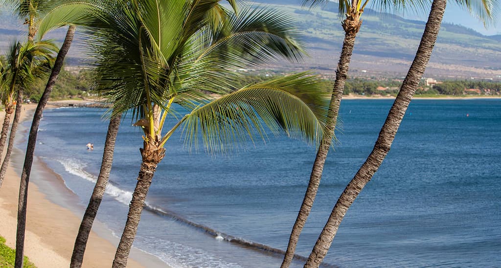 Rent a Car Maui