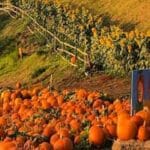 Kula county farms