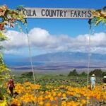 Kula county farms