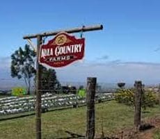 Kula county farms