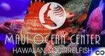 Hawaiian squirrelfish