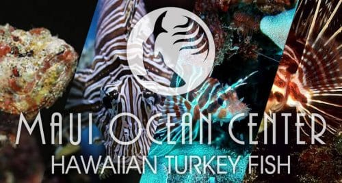 HAWAIIAN TURKEY FISH