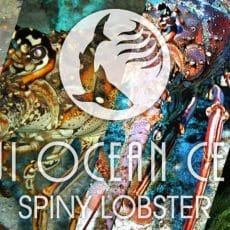 SPINY LOBSTER