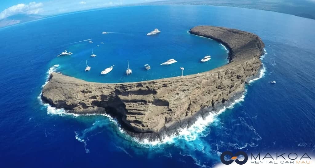 Molokini Snorkeling