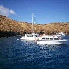 Molokini Snorkeling