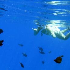 Molokini Snorkeling