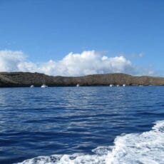 Molokini Snorkeling