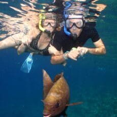 Molokini Snorkeling