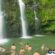 Top 5 Waterfalls in Maui