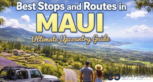 Best Stops and Routes in Maui