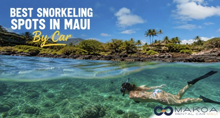 Best Snorkeling Spots in Maui You Can Reach by Car