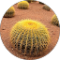 Virag K. Avatar