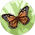 Crystal H. Avatar